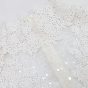 Detalle de encaje blanco y lentejuelas en tejido transparente con cremallera