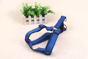 Close-up of adjustable blue dog harness with durable nylon straps and metal rings