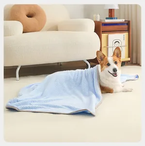Close-up of soft blue absorbent pet towel on a Corgi dog in a cozy home