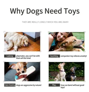 Infographie expliquant pourquoi les chiens ont besoin de jouets en peluche.