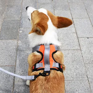 Breathable orange and grey vest-style dog harness and leash set shown on a Corgi dog
