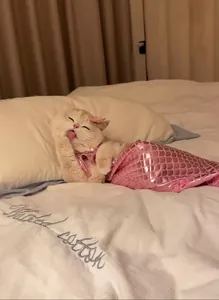 Lindo y divertido disfraz de sirena rosa para gatos con escamas de peces brillantes