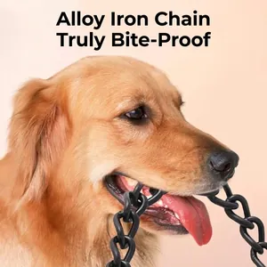 Heavy-duty bite-proof black alloy metal chain dog leash for large dogs like Golden Retriever