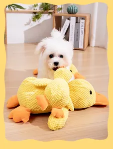 White fluffy dog playing with yellow textured plush duck squeaky toys in a warm room
