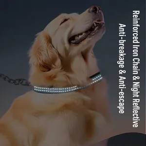 Durable stainless steel dog leash with night reflective collar for large breeds like Golden Retrievers