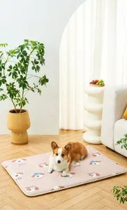Close-up of a pink patterned dog mat with a Corgi in a cozy living room scene