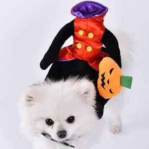 Funny Halloween dog clown costume outfit with plush pumpkin accessory detail view