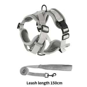 Detail eines atmungsaktiven grauen Hundegeschirr-Sets mit einer 150 cm langen Leine