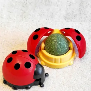 Ladybug shaped rotating catnip ball cat toy with dust-proof cover for indoor cats