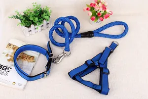 Detailansicht eines blauen geflochtenen Hundeleinen-Sets mit Geschirr und Halsband