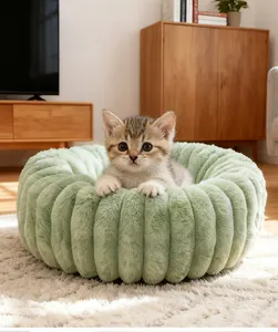 Cozy kitten resting in a plush light green round donut cat bed with soft ribbed texture
