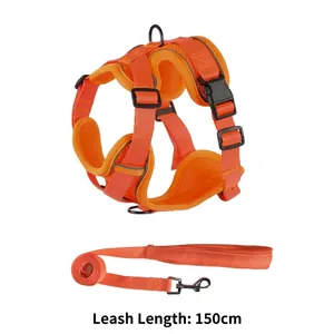 Helles oranges reflektierendes Hundegeschirr und 150 cm Leinenset für kleine Tiere