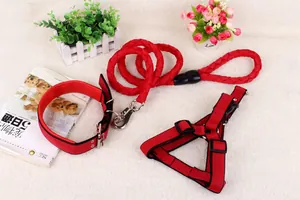 Detailansicht der roten geflochtenen Hundeleine mit passendem Halsband und Geschirrset für Hunde