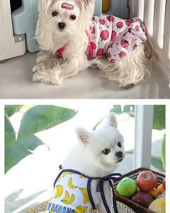 Detail view of small dog dresses featuring vibrant strawberry and banana patterns