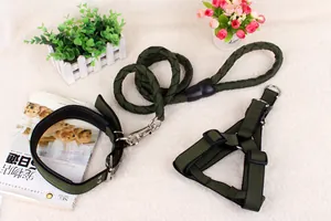 Detailansicht von grünem geflochtenem Hundeleinen, Geschirr und Halsband Set für Hunde