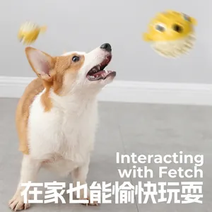 Corgi playing with yellow pufferfish-shaped TPR dog toy for interactive fetch games