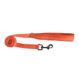 Nahaufnahme einer strapazierfähigen orangefarbenen Hundeleine mit robustem Metallkarabiner