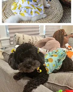 Close-up view of small dogs wearing cute fruit pattern princess dresses with ruffles