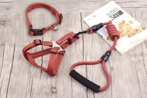 Detailansicht des roten Hundegeschirr-Sets mit Halsband und Leine auf Holzoberfläche