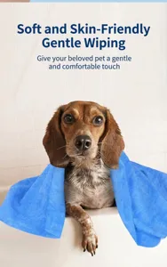 Close-up of a cute dog wrapped in a blue imitation chamois quick-drying pet towel