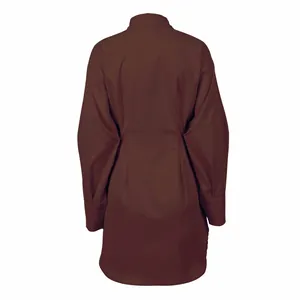 Achteraanzicht van een bruine jurk met lange mouwen en getailleerde taille.