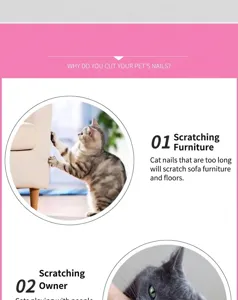 Infographie expliquant pourquoi couper les griffes des animaux pour protéger les meubles