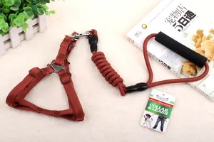 Detailansicht von robustem hundegeschirr und elastischer leine in rotbraun mit schwarzem griff.