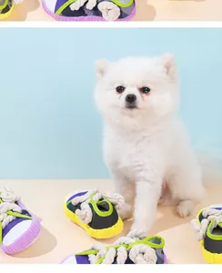 White Pomeranian dog with colorful rope knot slipper chew toys for small dogs