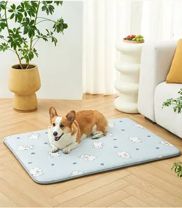 Χαριτωμένο Corgi σε γαλάζιο χαλάκι κατοικίδιων σε ένα φωτεινό και μοντέρνο σαλόνι