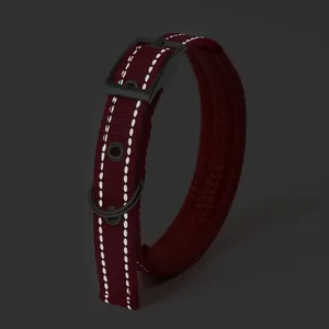 Durable reflective maroon nylon dog collar with soft foam lining and adjustable buckle