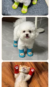 Adorable knit pet socks with bear and cherry patches for small dogs and cats 4pc set