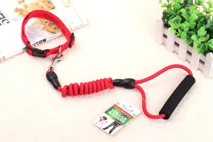 Detail eines roten Hundehalsband- und Leinensets mit gepolstertem Griff.