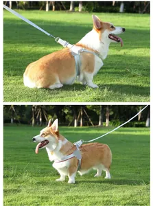 Verstellbares, reflektierendes, stoßfestes Hundegeschirr und Leinen-Set an einem Corgi