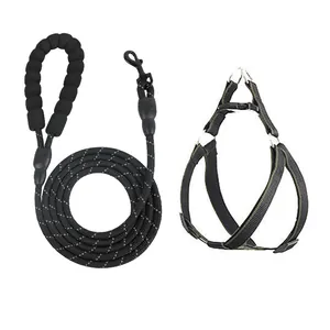 Reflektierende schwarze Hundeleine mit Schaumstoffgriff und verstellbarem Hundegeschirr