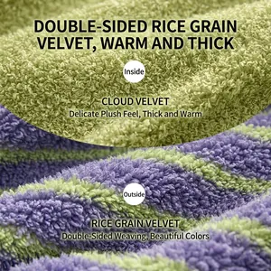 Soft double-sided rice grain velvet pet blanket macro detail in green and purple stripes