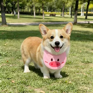 Primo piano di un bavaglio rosa con motivo a maialino indossato da un cane Corgi.