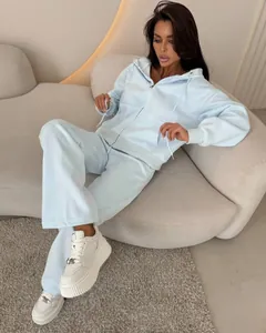 Detailed view of a stylish light blue zip-up hooded sweatshirt and matching sweatpants set.