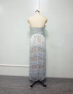 Vue arrière détaillée d'une robe moulante à paillettes argentées et franges à étages