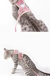 Close-up detail of pink plaid cotton cat harness and leash set on a cat for walking