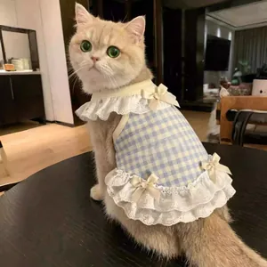 Gros plan d'un chat portant une robe de princesse à carreaux bleus et jaunes
