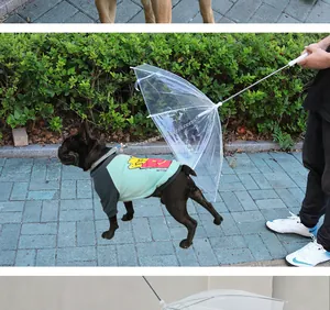 Vue détaillée d'un parapluie transparent pour animaux avec laisse intégrée pour petits chiens