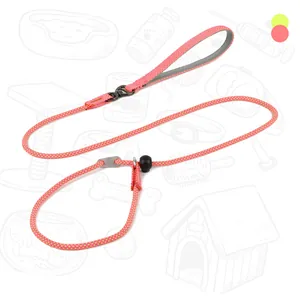 Durable braided P-rope slip lead for dog training and walking in vibrant pink color