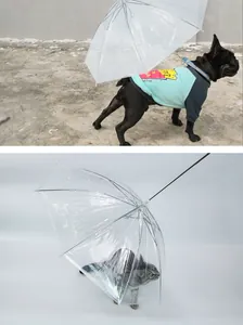 Parapluie transparent pour animaux avec laisse intégrée pour petits chiens et chats