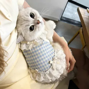 Vue détaillée d'une robe de princesse bleue à carreaux pour chat avec dentelle blanche