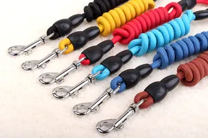 Detailansicht verschiedener bunter, elastischer Bungee-Hundeleinen mit stabilen Metallclips