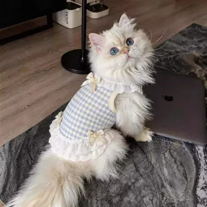Détail d'un chat portant une robe de princesse française à carreaux bleus avec nœuds