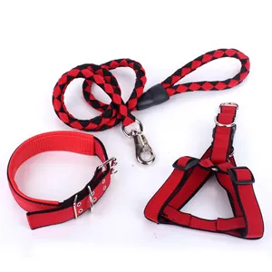 Rote und schwarze geflochtene Hundeleine mit passendem Geschirr und Halsband