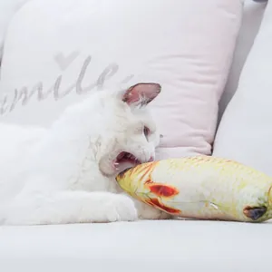 Close-up of a white cat biting a realistic fish-shaped plush toy on a soft sofa