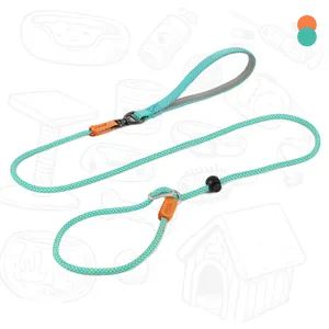 High-quality teal and orange braided P-chain dog leash for pet training and walking
