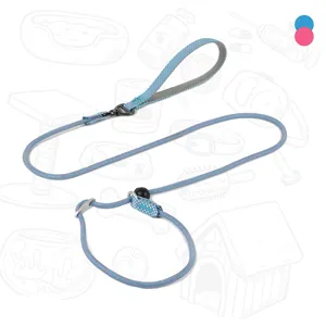 Detail view of blue and pink braided slip lead dog training leash with adjustable metal ring
